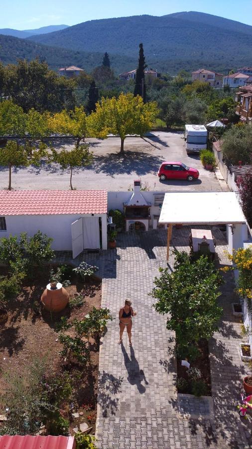 ξανθουλα Xanthoyla Amaliapoli